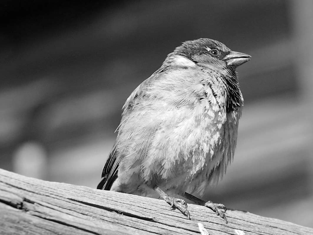 ���-�,�����! ����� ������  �� PhotoGeek.ru #�������� ��� #����� ��� ��� ���������