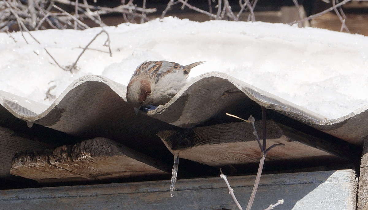 ��!!!��� ��� �� �����? ����� ������  �� PhotoGeek.ru #�������� ���