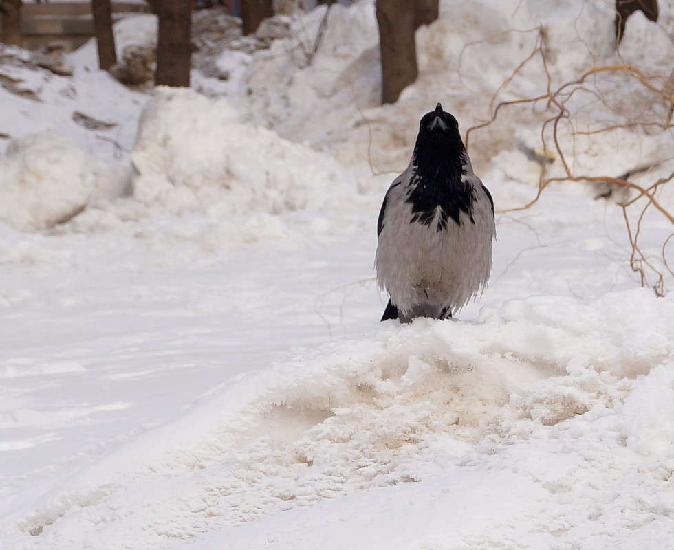 ���� ������ ����� ������  �� PhotoGeek.ru #�������� ��� #����� ��� ��� ���������