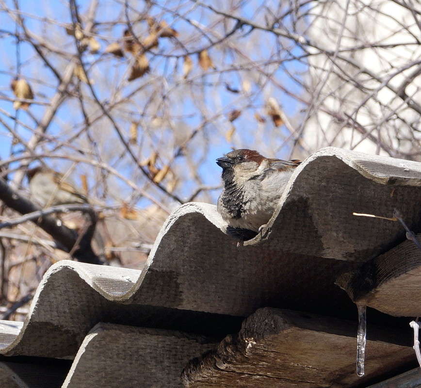 20 �����-���� ������� ����� ������  �� PhotoGeek.ru #�������� ���