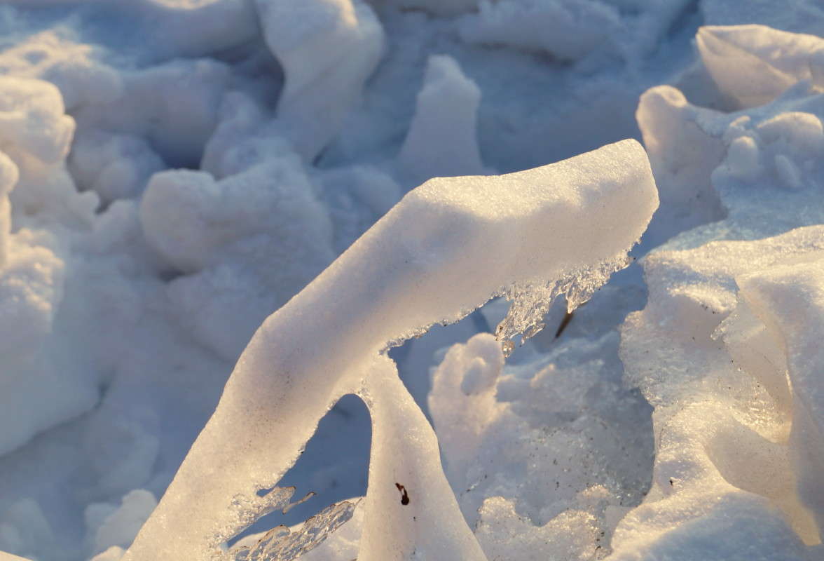 ���� ����� ������  �� PhotoGeek.ru #����� #������ ��� ������� #��������� ������ #����� ��������