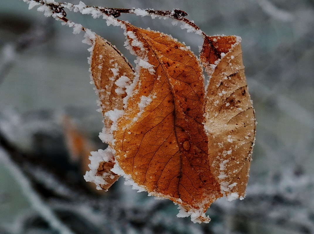 ���� ����� ������  �� PhotoGeek.ru #������ ��� ������� #����� ��������