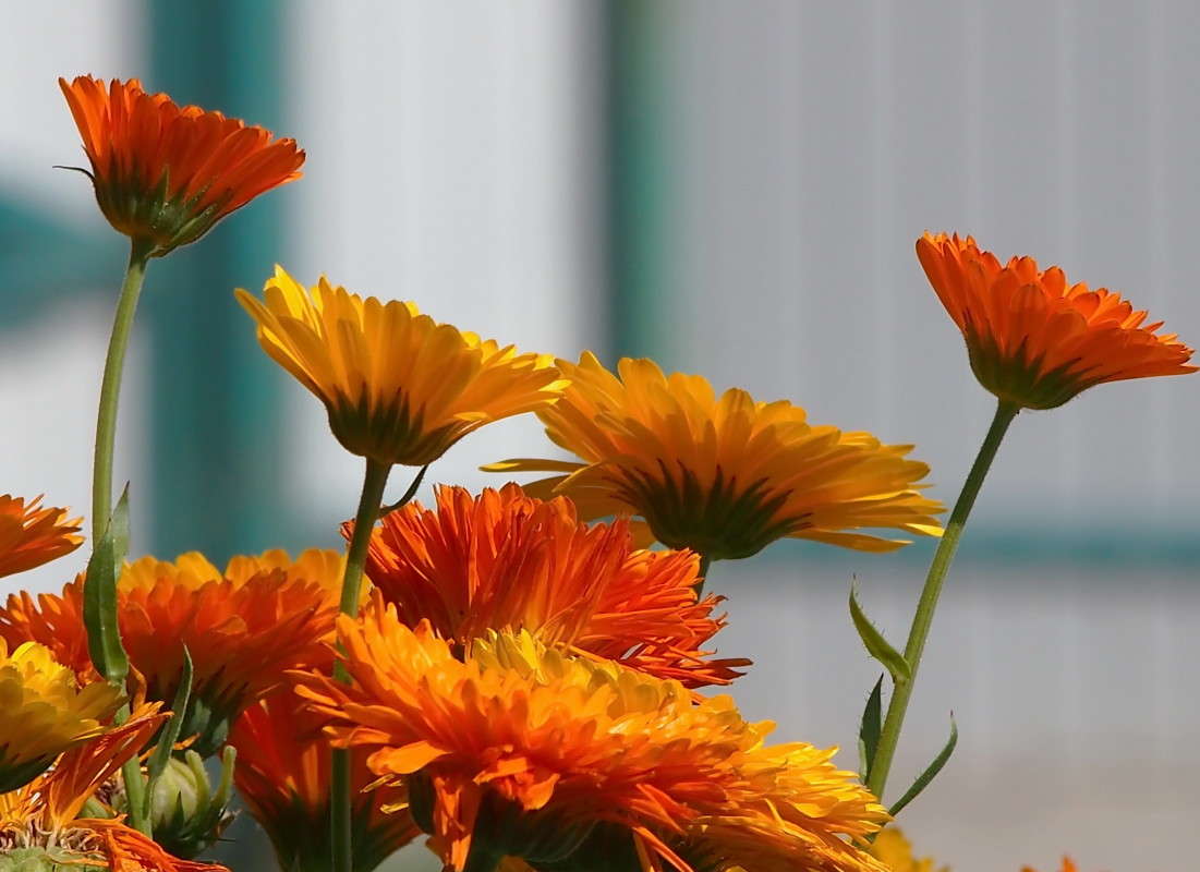 ��������� ����� ������  �� PhotoGeek.ru #������ ��� ������� #����� ��������