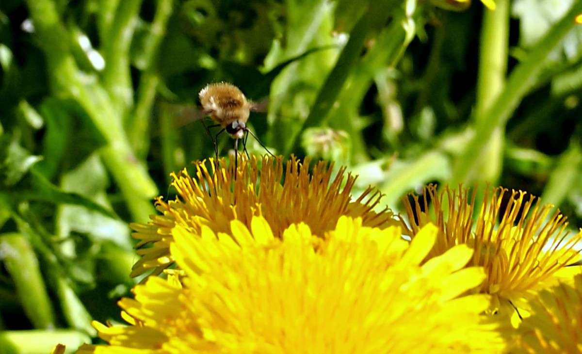 �������� ����� ����� ������  �� PhotoGeek.ru #�������� ���