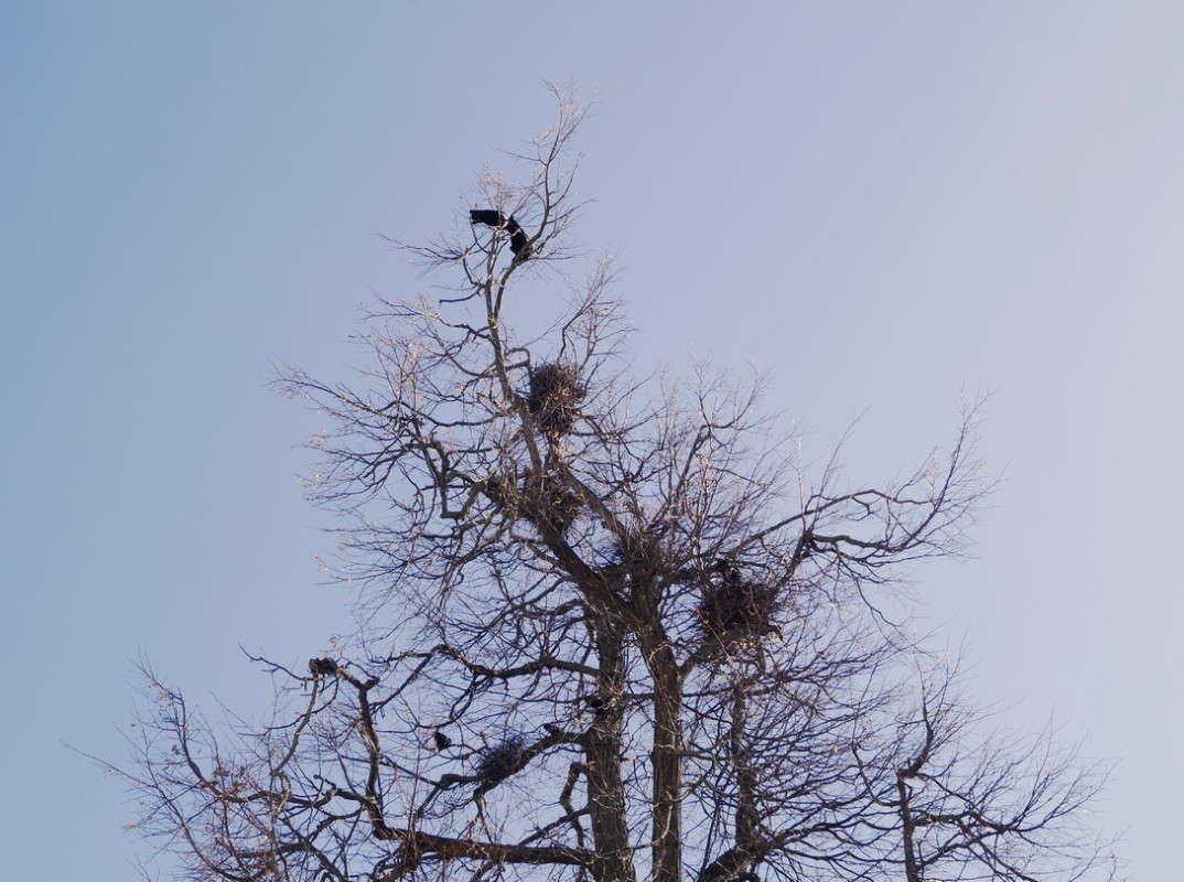 ��� � ����� ������ ���� ����� ������  �� PhotoGeek.ru #�������� ��� #������ ��� �������