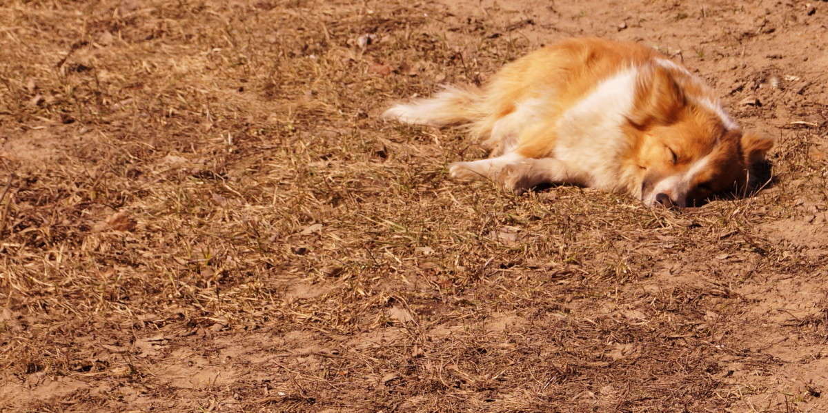 �� �������� ������� ����� ������  �� PhotoGeek.ru #�������� ���