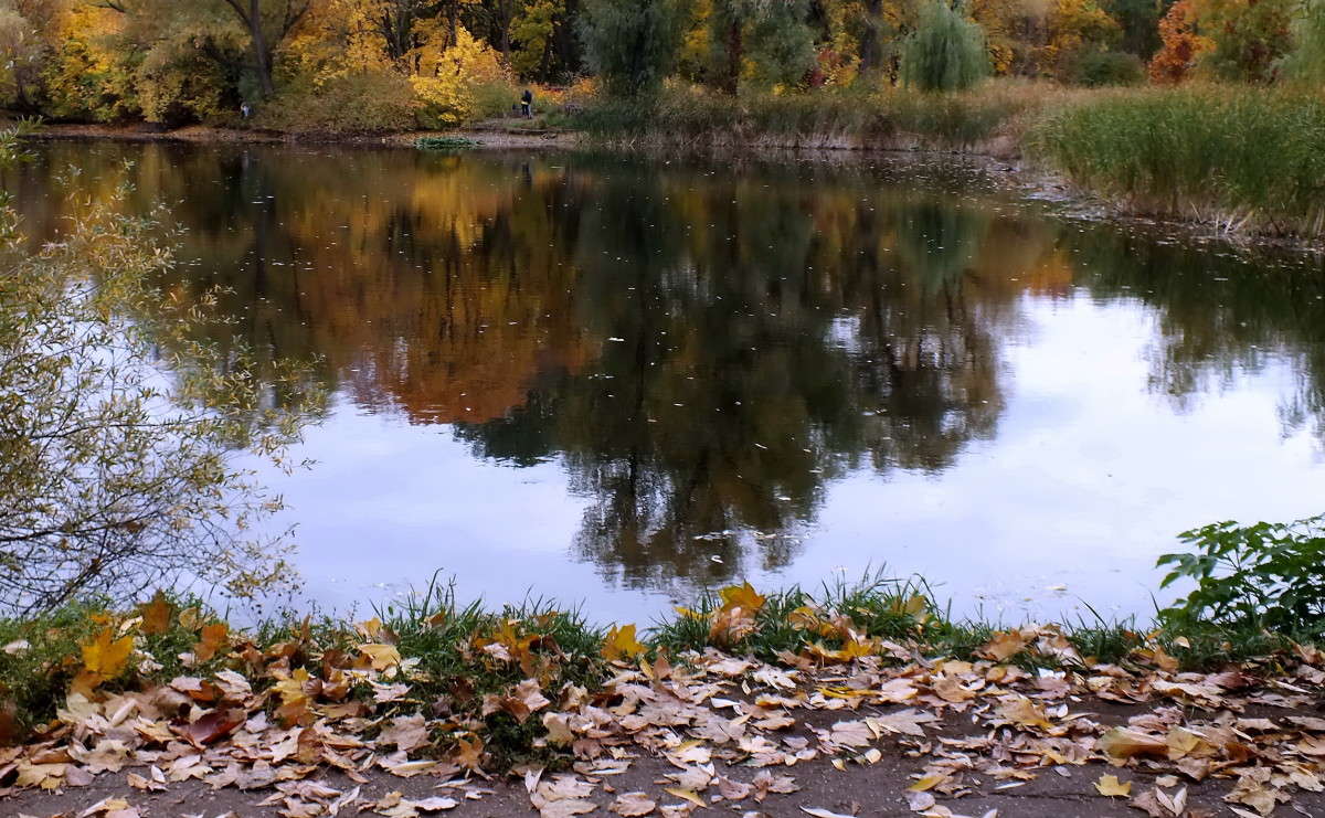 ������� ���������� ����� ������  �� PhotoGeek.ru #������ ��� �������