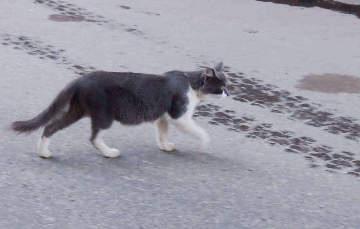 ��������� ������ ����� ������  �� PhotoGeek.ru #�������� ���