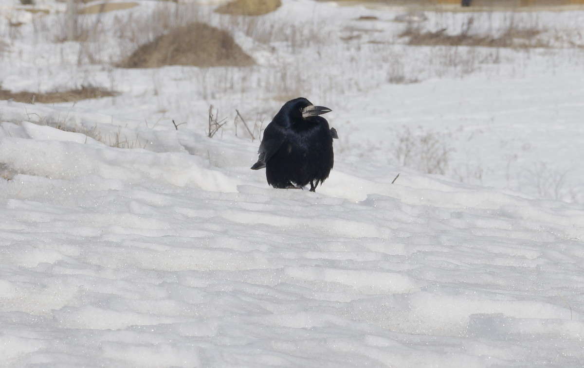 ���� ��������?? ����� ������  �� PhotoGeek.ru #�������� ���