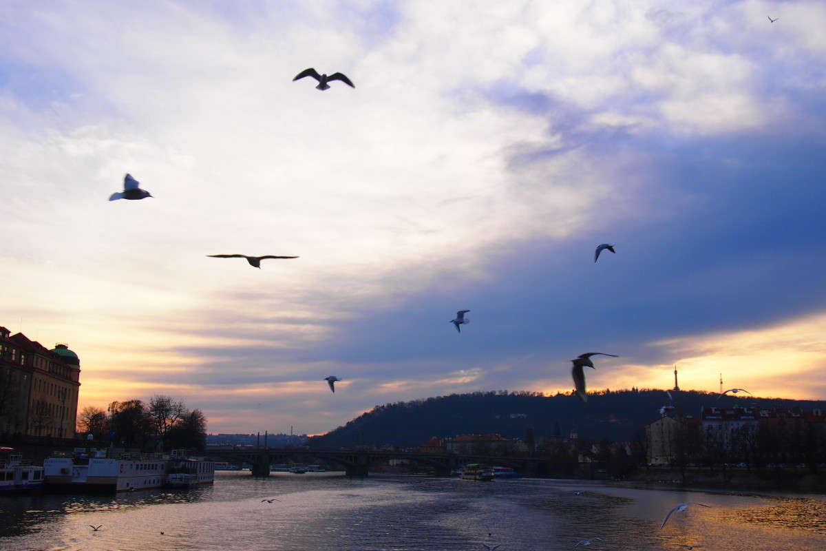 ����� �� ������ ����� ������  �� PhotoGeek.ru #����� #������ ��� �������