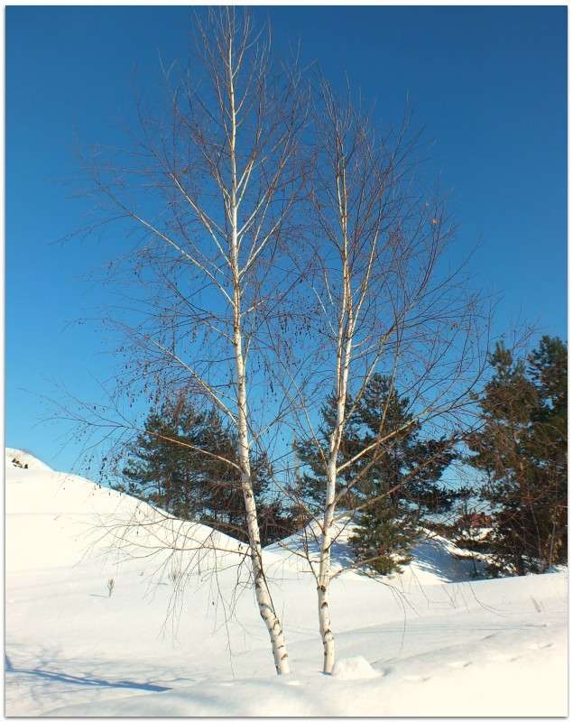 2 ������ ����� ������  �� PhotoGeek.ru #������ ��� �������