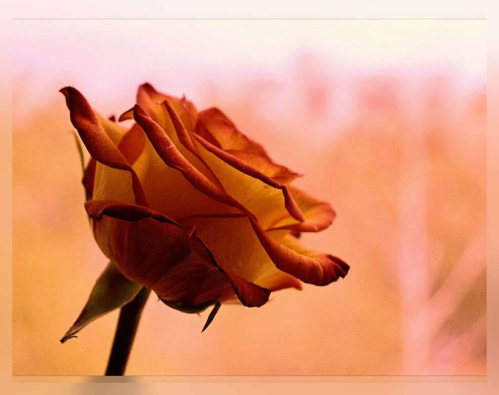 ����-������ ����� ������  �� PhotoGeek.ru #������ ��� �������