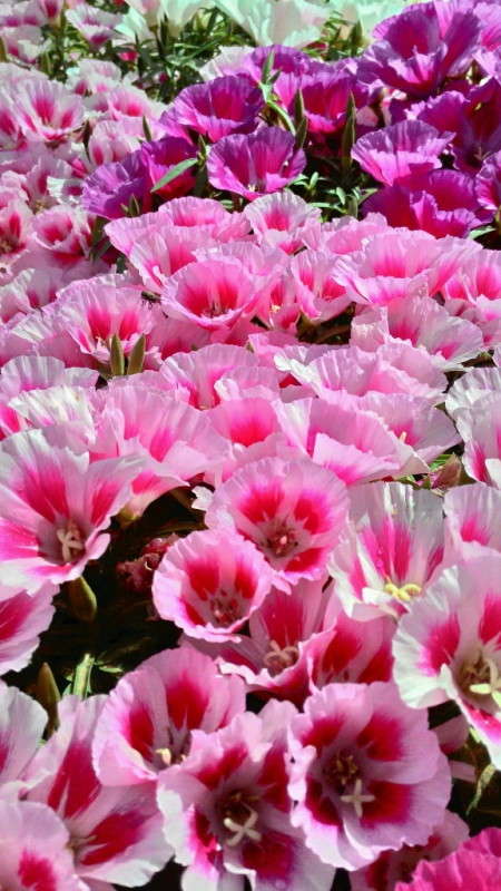 �����,�� ����� ����� ������  �� PhotoGeek.ru #������ ��� �������