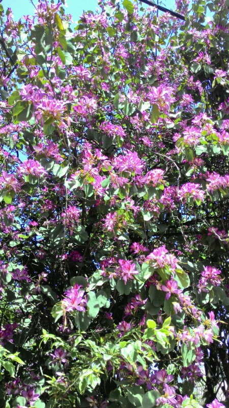 �� ���������� ����� ������  �� PhotoGeek.ru #������ ��� ������� #����� ��������������