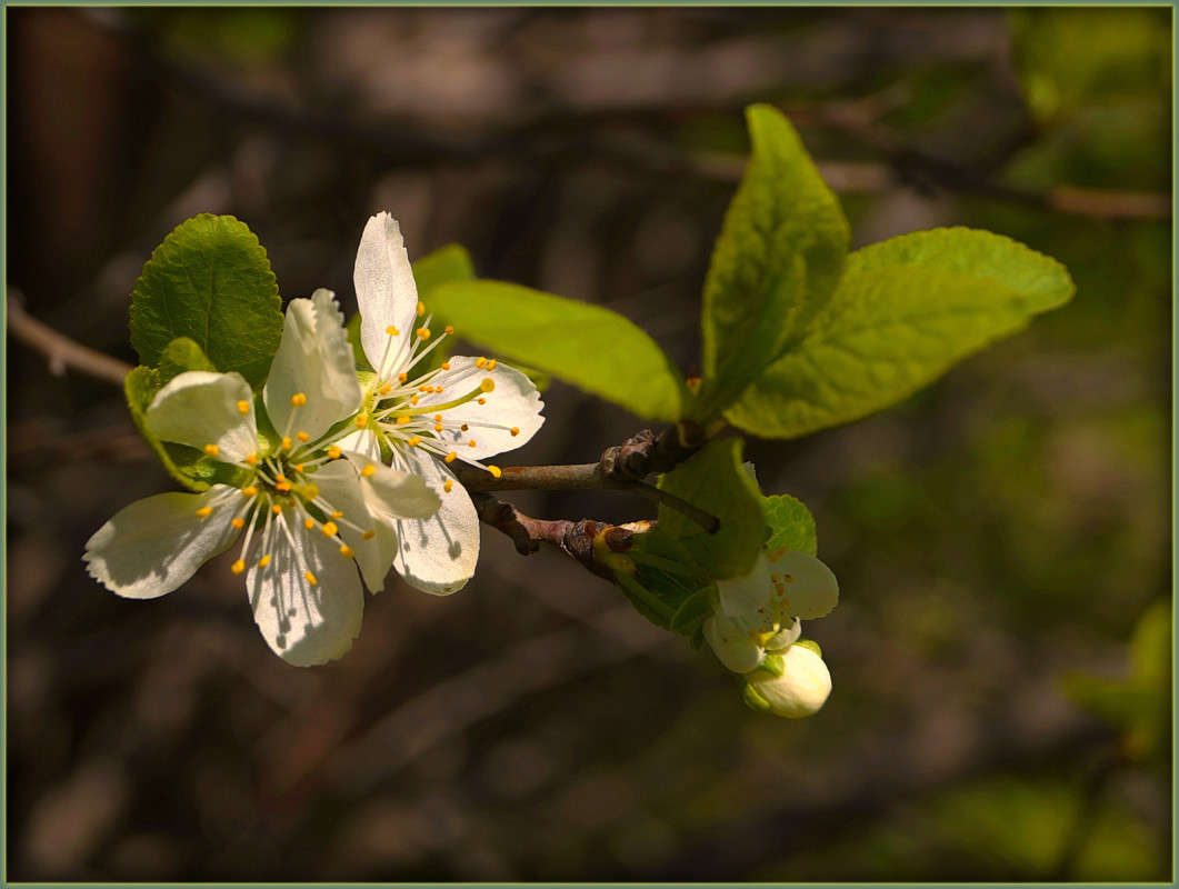 �����,������ ������������ ����� ������  �� PhotoGeek.ru #����� #������ ��� �������