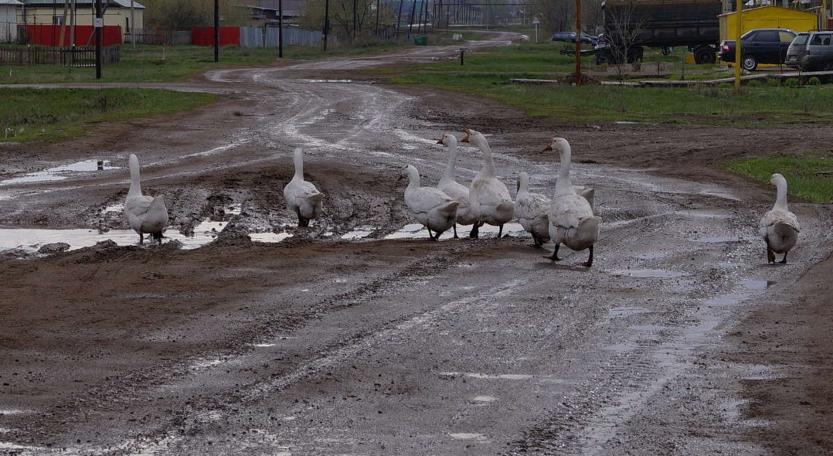 ���� ������� �������- ��� ���� ����� ����� ����� ������  �� PhotoGeek.ru #�������� ���