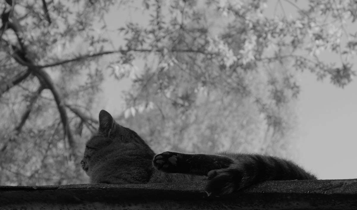 ��� ����� ������  �� PhotoGeek.ru #�������� ���