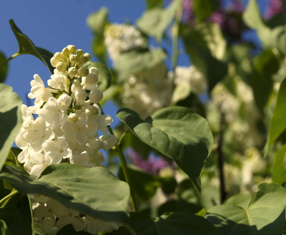 ����� ������ ����� ������  �� PhotoGeek.ru #������ ��� �������