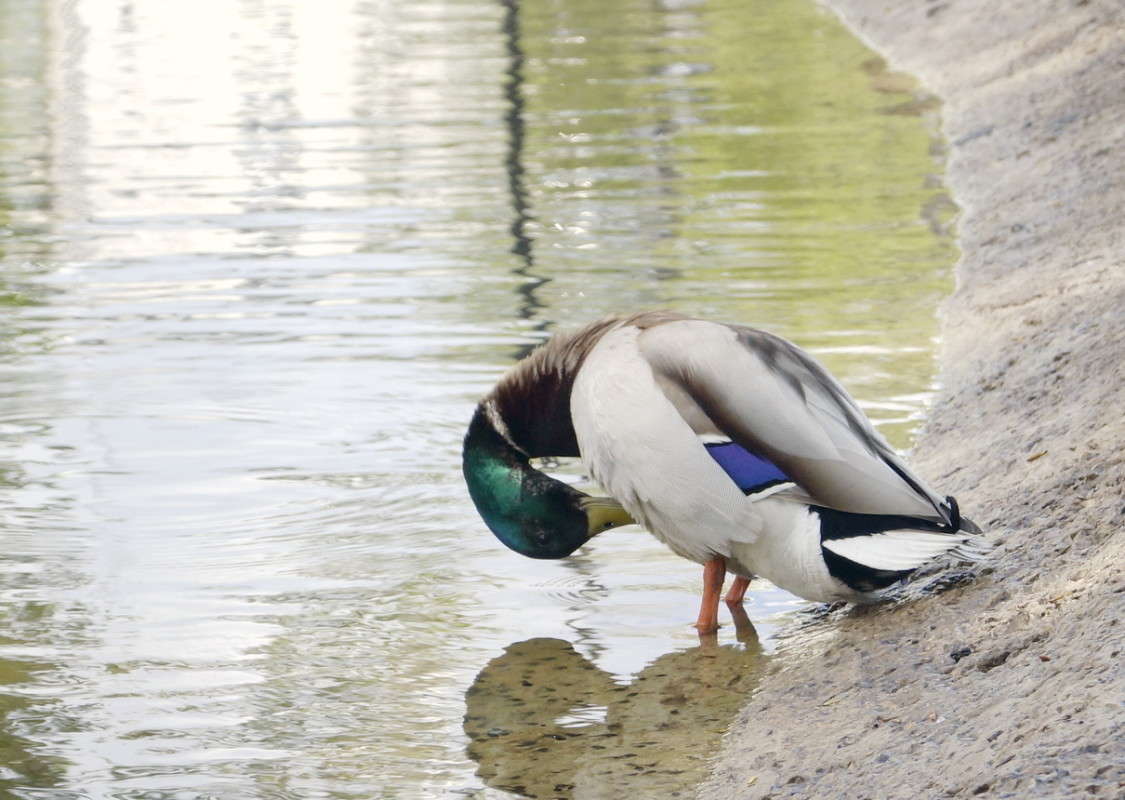 ����� �? ����� ������  �� PhotoGeek.ru #�������� ���