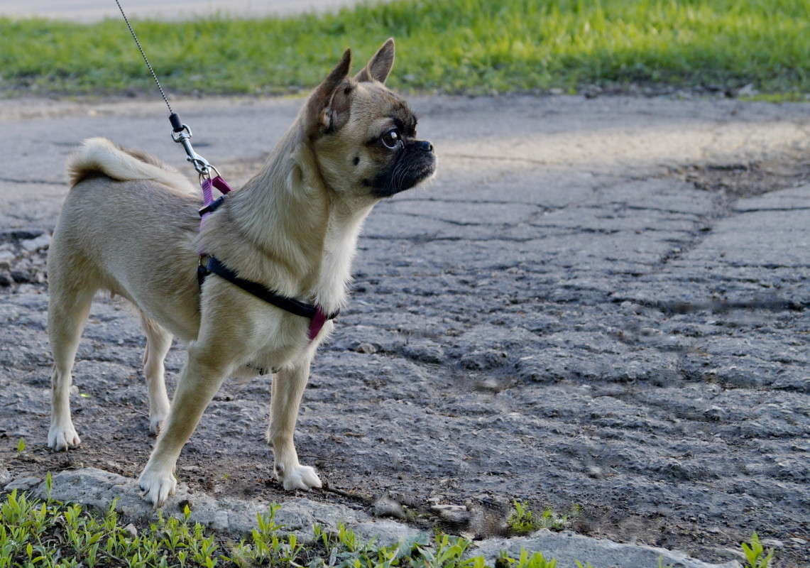 ���� �� ������� ����� ������  �� PhotoGeek.ru #�������� ���