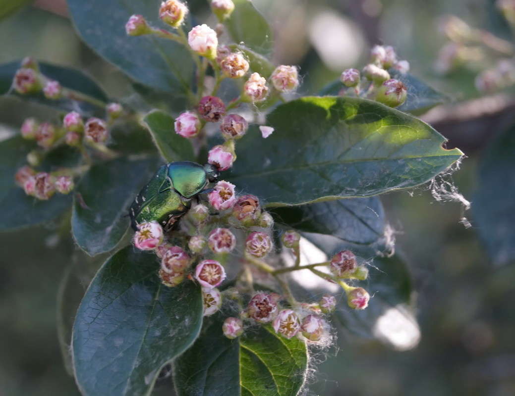 ��������� ����� ������  �� PhotoGeek.ru #�������� ���