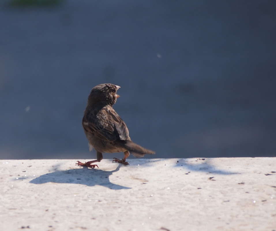 ������!!��� ����! ����� ������  �� PhotoGeek.ru #�������� ��� #�������� ���
