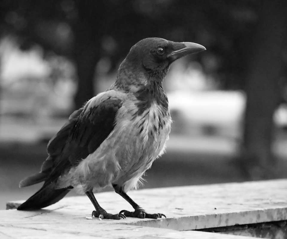 ������ ����� ������  �� PhotoGeek.ru #�������� ���