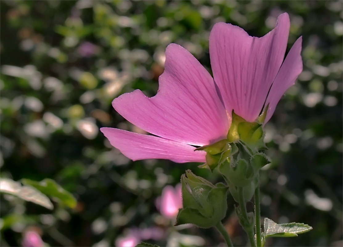 ������ ����� ������  �� PhotoGeek.ru #������ ��� ������� #����� �������������� #����� ��������