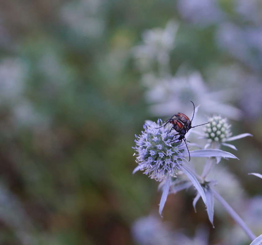 ����� ����� ������  �� PhotoGeek.ru #�������� ��� #������ ��� �������