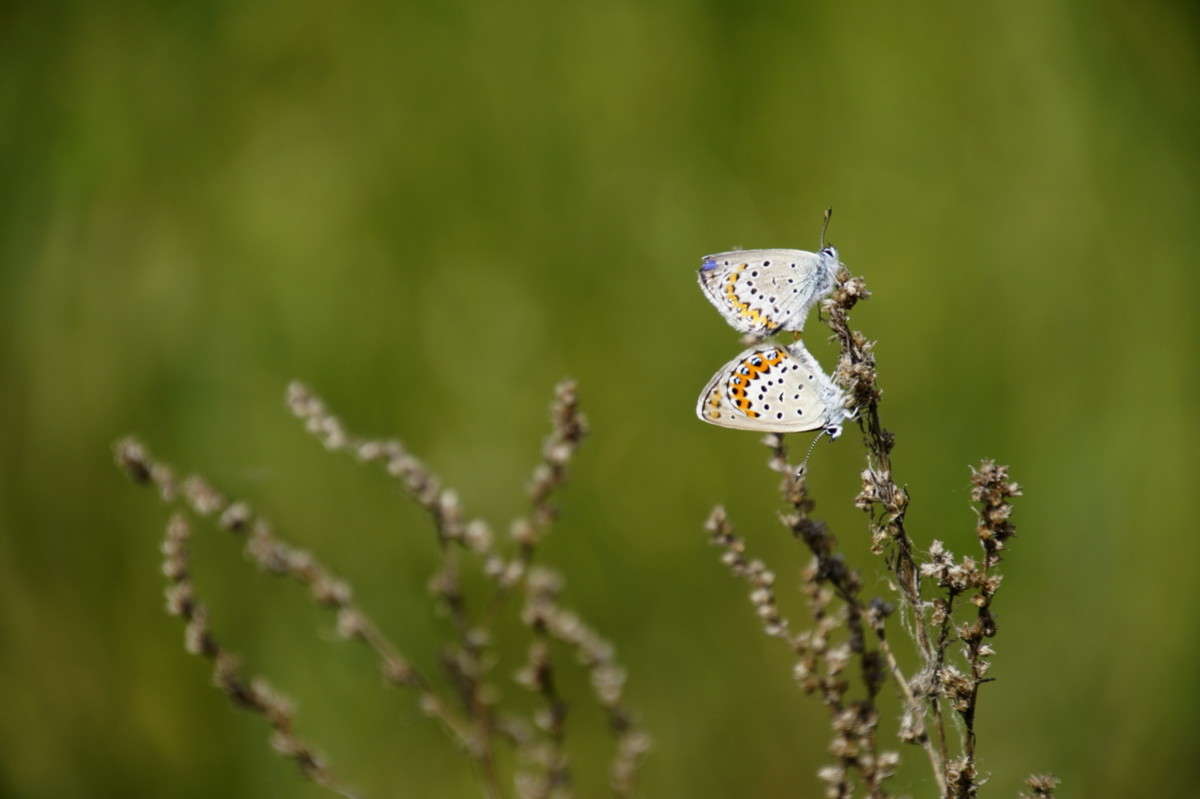 ������� ����� ������  �� PhotoGeek.ru #�������� ��� #������ ��� �������