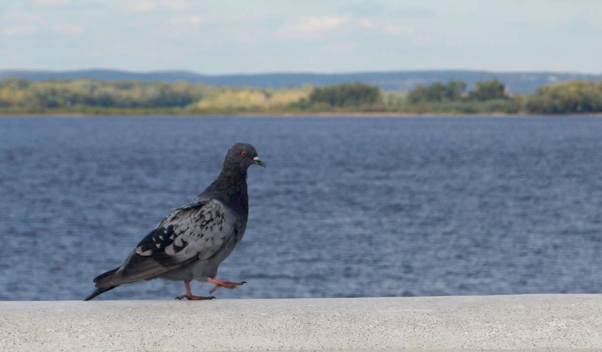 ���������? ����� ������  �� PhotoGeek.ru #�������� ���