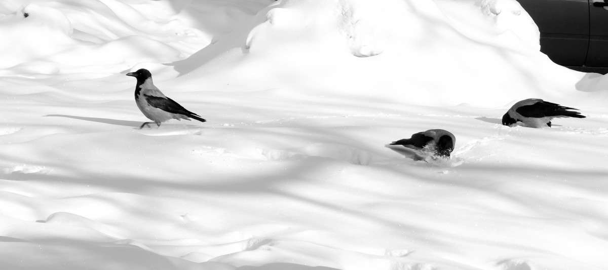 ��� ������ ����� ����� ����� ������  �� PhotoGeek.ru #�������� ���