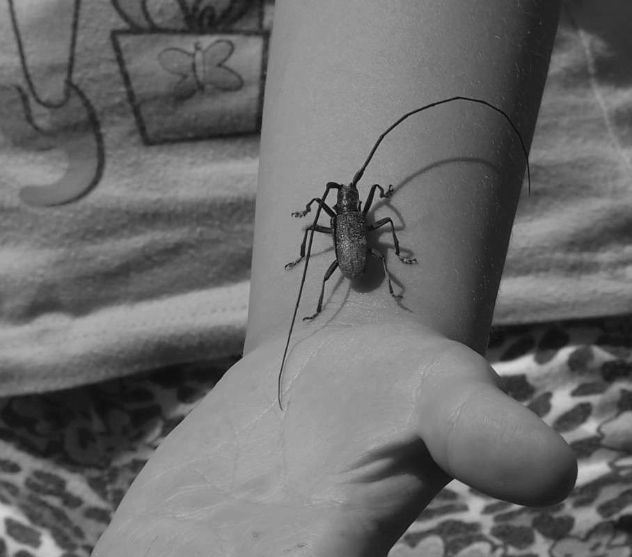 ��� ����� ��� ����� ������  �� PhotoGeek.ru #�������� ��� #�����-�����