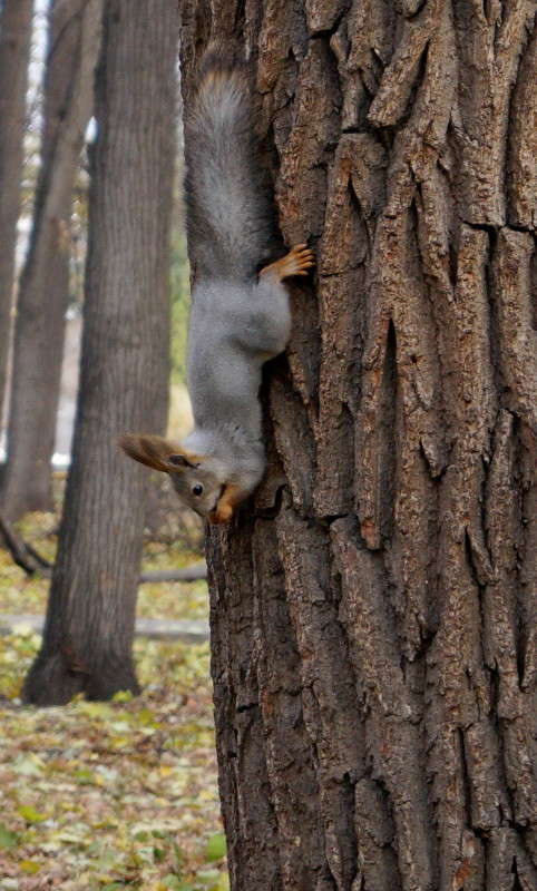 ������� ����� ������  �� PhotoGeek.ru #����� #�������� ���