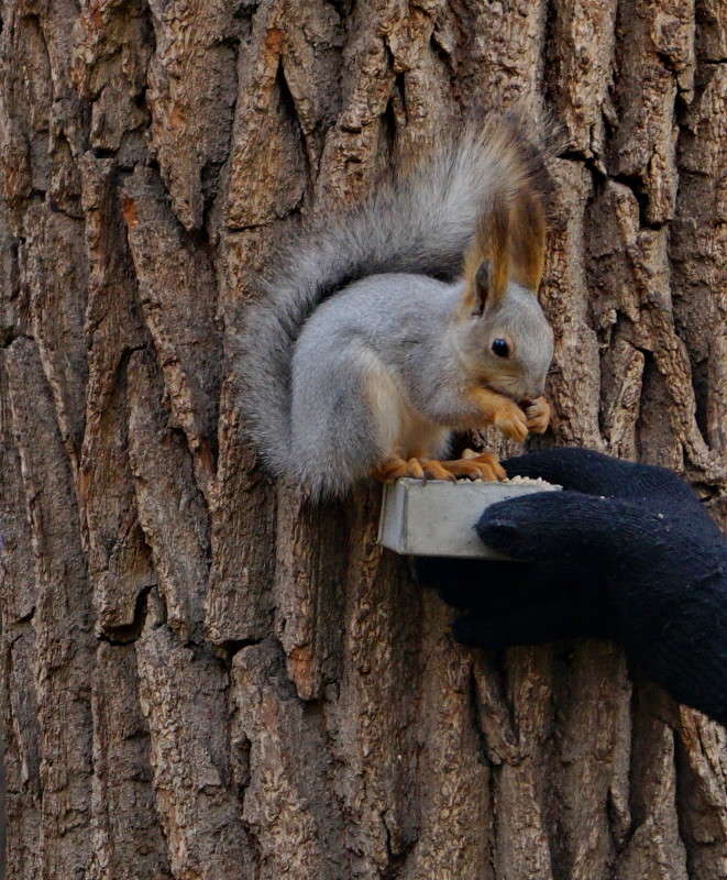 �����,������� ����� ������  �� PhotoGeek.ru #����� #�������� ���