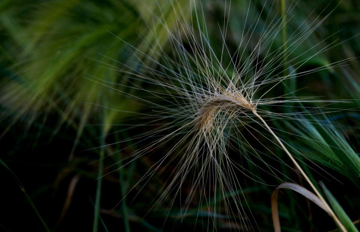 ������ ��������� ����� ������  �� PhotoGeek.ru #����� #������ ��� �������