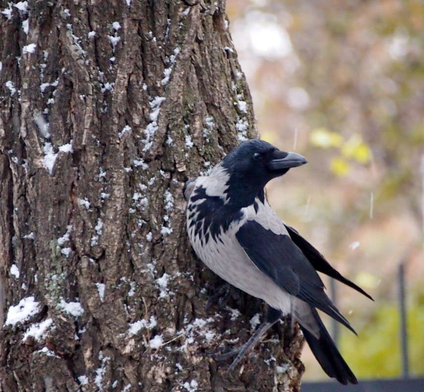 ����������� ����� ������  �� PhotoGeek.ru #����� #�������� ���