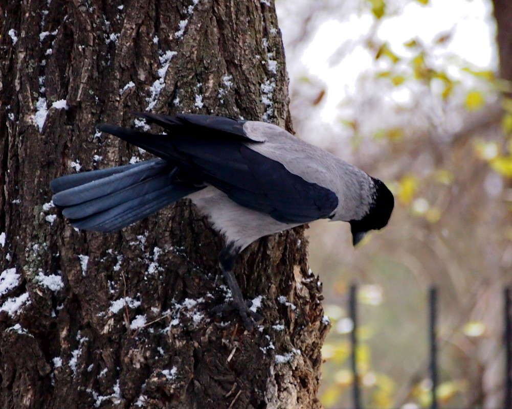 � ��� ��� ��������?? ����� ������  �� PhotoGeek.ru #����� #�������� ���