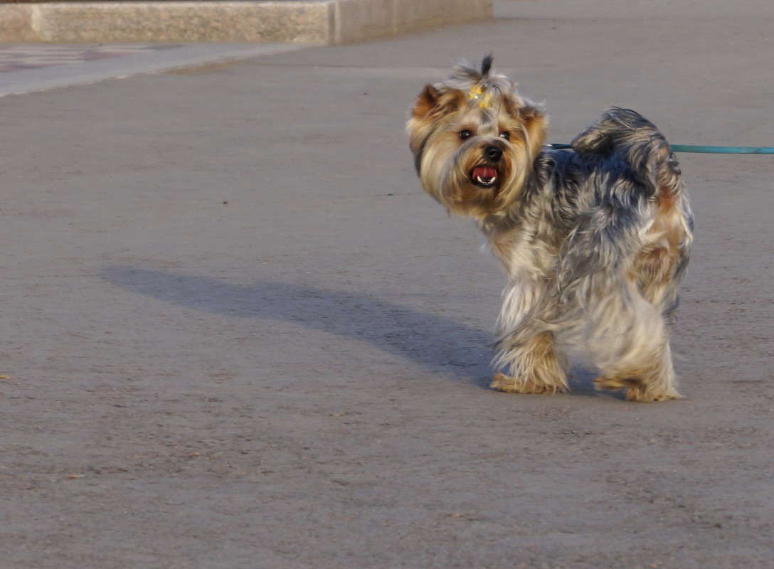 ����� �� ����� ����! ����� ������  �� PhotoGeek.ru #�������� ���