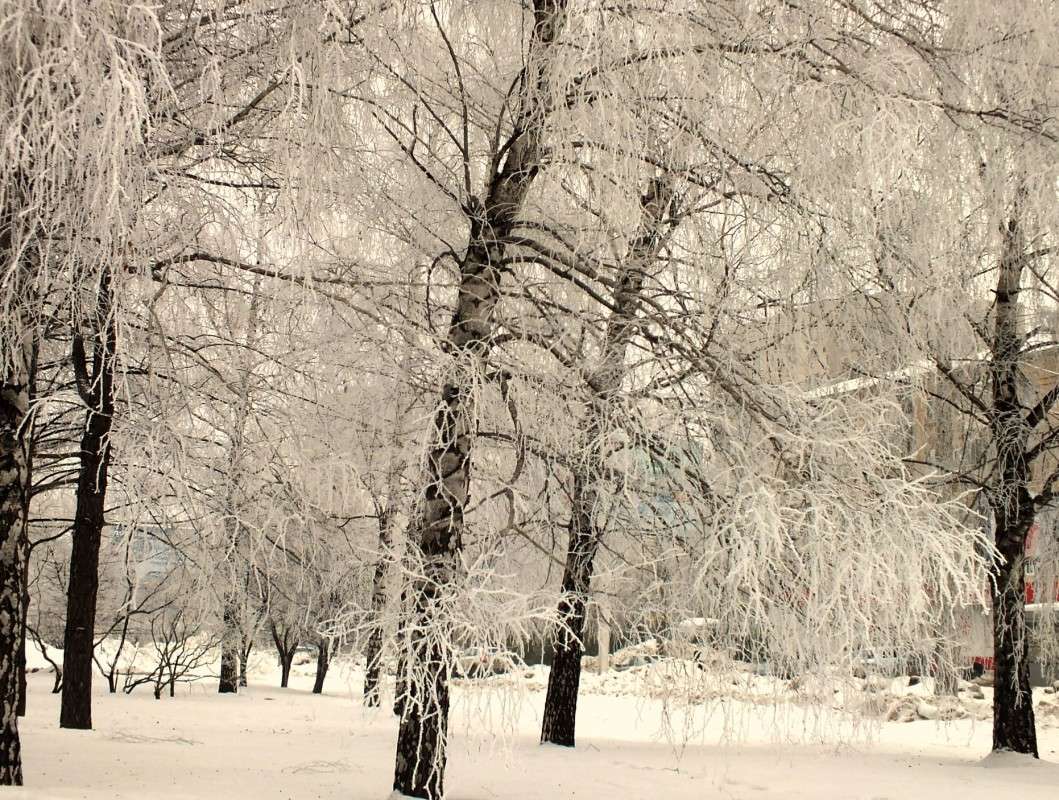 �� � ���� ����� ������  �� PhotoGeek.ru #������ ��� ������� #�����-�����