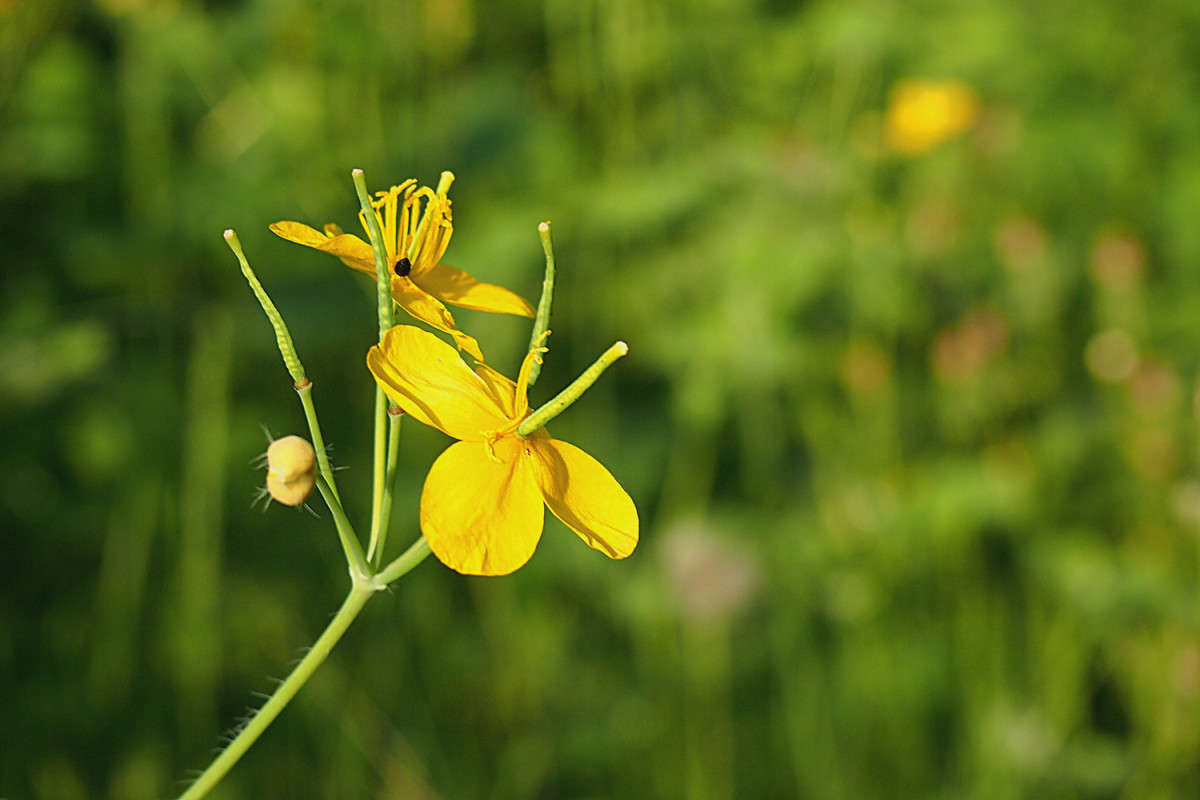 �������� ����� ������  �� PhotoGeek.ru #������ ��� ������� #����� �������������� #����� ��������