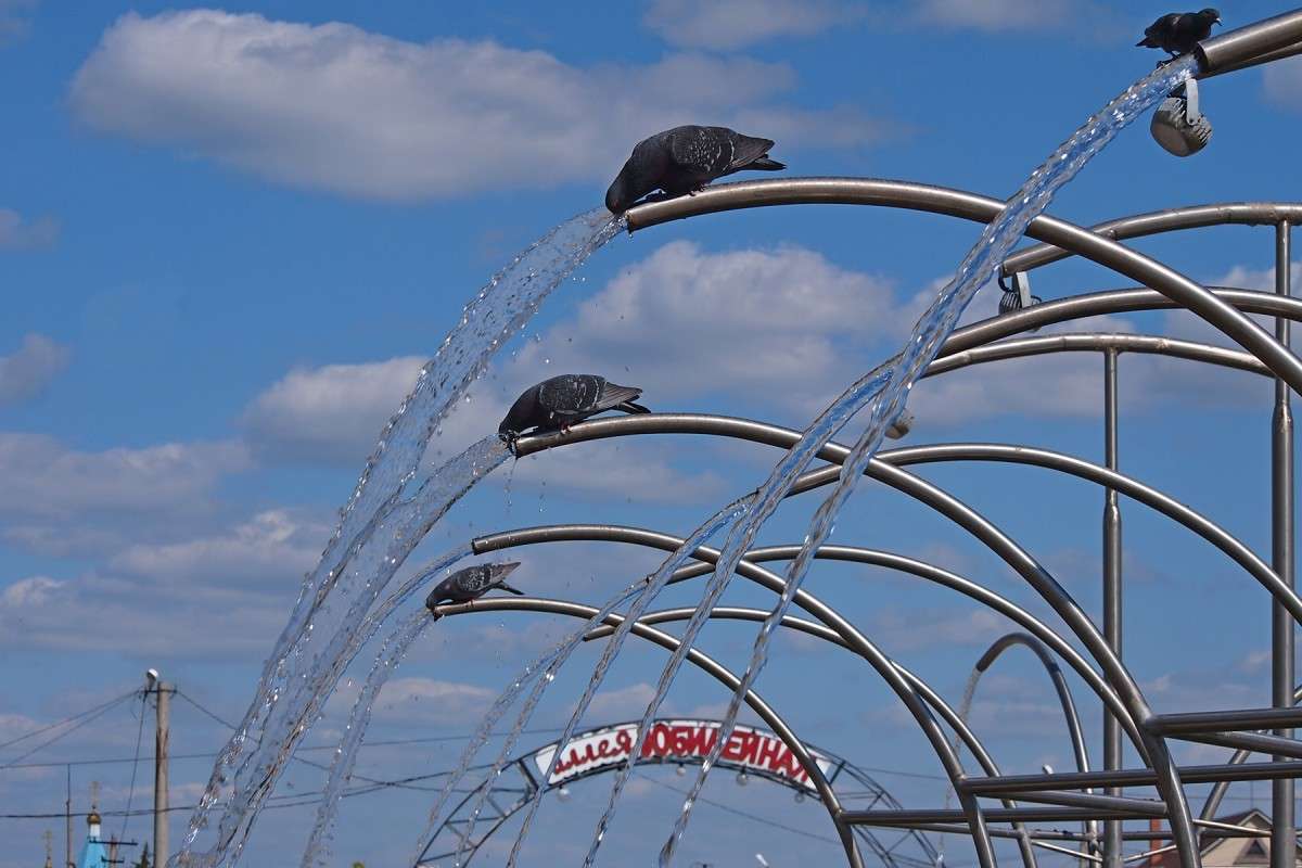 ������������ ������� ����� ������  �� PhotoGeek.ru #�������� ��� #����� ��� ��� ���������