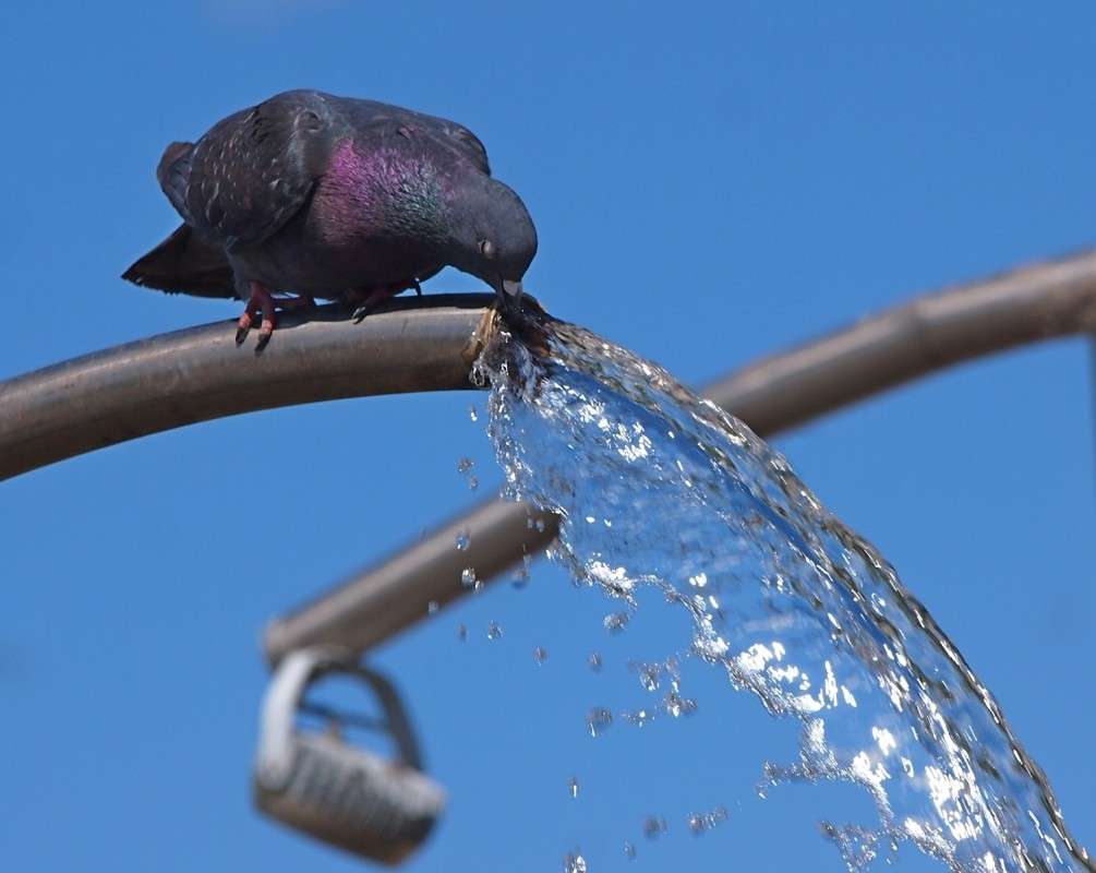 �� ���!!! ����� ������  �� PhotoGeek.ru #�������� ���