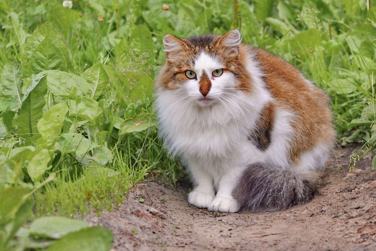 ����������� ����� ������  �� PhotoGeek.ru #����� #�������� ���