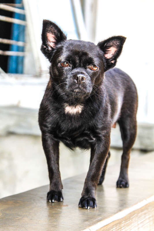 ��� ����� �������  �� PhotoGeek.ru #�������� ��� #�������