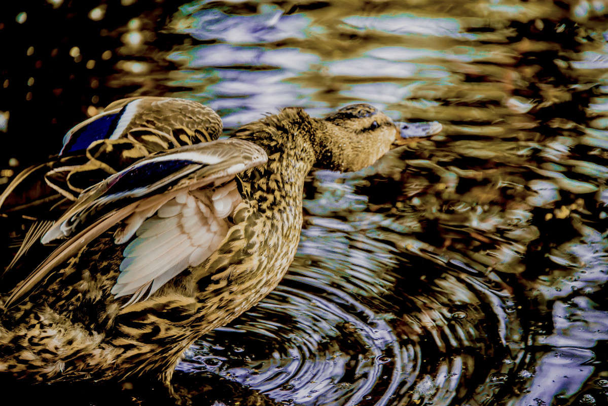 ... ����� ������ ��������� �� PhotoGeek.ru #�������� ���