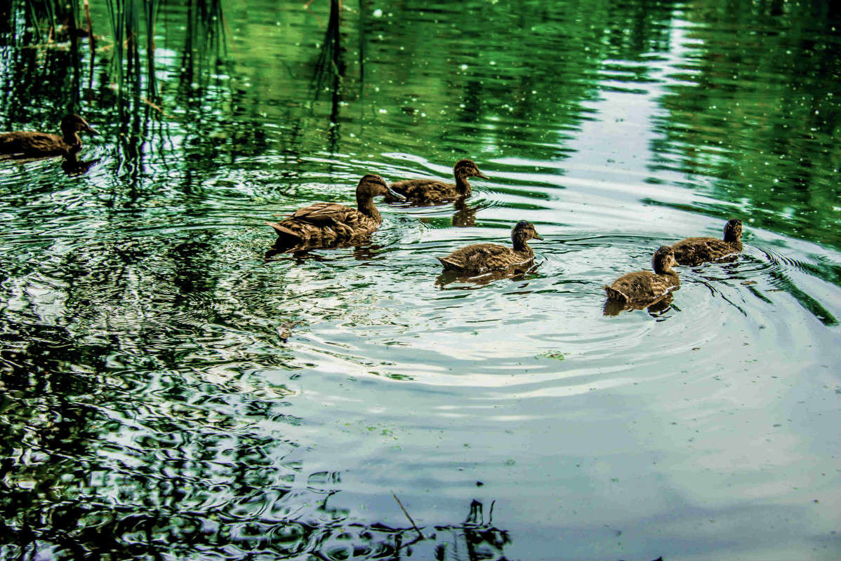 ... ����� ������ ��������� �� PhotoGeek.ru #�������� ���