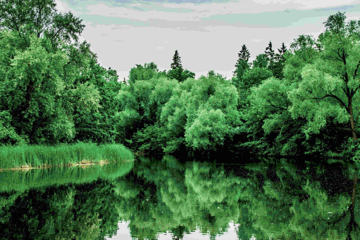 ... ����� ������ ��������� �� PhotoGeek.ru #������ ��� �������