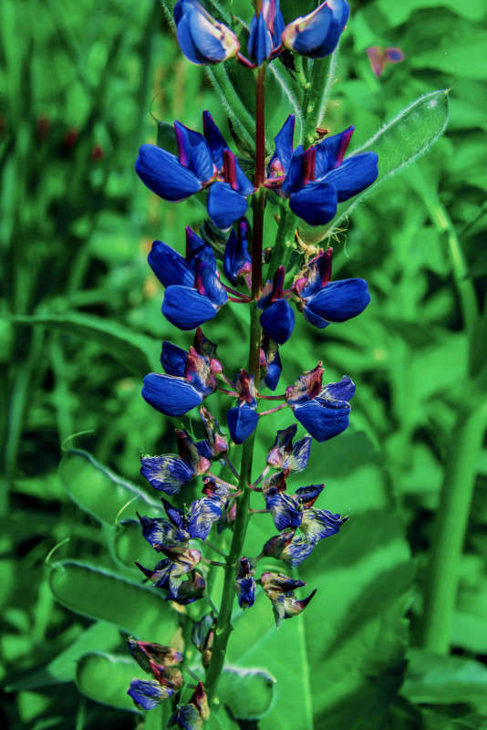 ... ����� ������ ��������� �� PhotoGeek.ru #������ ��� �������