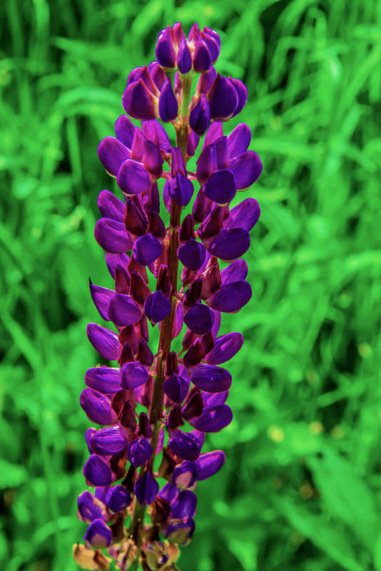 ... ����� ������ ��������� �� PhotoGeek.ru #������ ��� �������